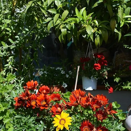 Apartamento Dell'ospite Ischia Casamicciola Terme