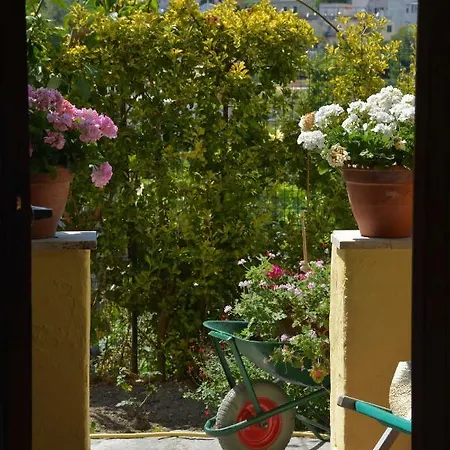 Apartamento Dell'ospite Ischia Casamicciola Terme