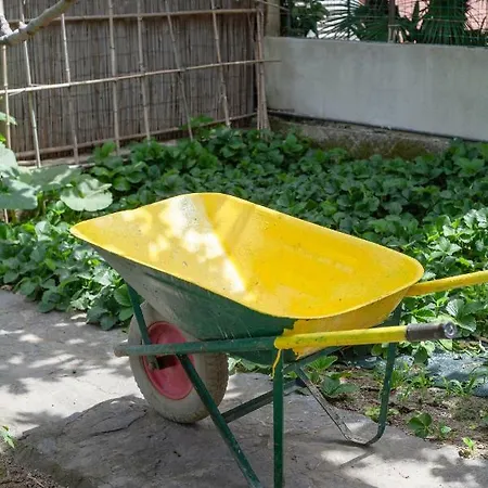 Dell'ospite Ischia Apartamento *