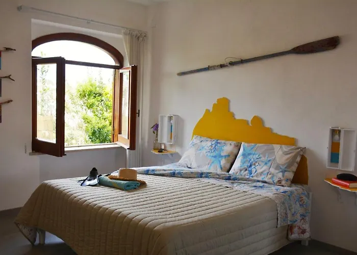 Dell'ospite Ischia *