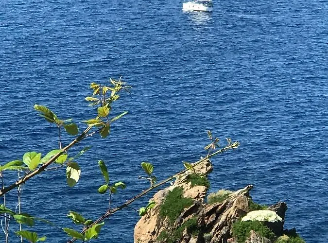 Dell'ospite Ischia