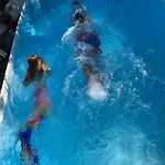 Dell'ospite Ischia Casamicciola Terme