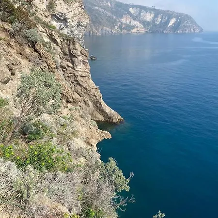 Lejlighed Dell'ospite Ischia *
