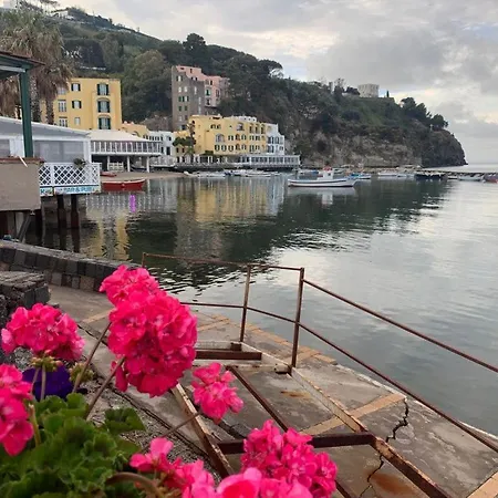 Dell'ospite Ischia Lejlighed Casamicciola Terme