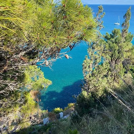 Dell'ospite Ischia Lejlighed Casamicciola Terme
