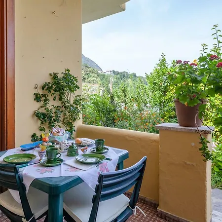 Dell'ospite Ischia Casamicciola Terme