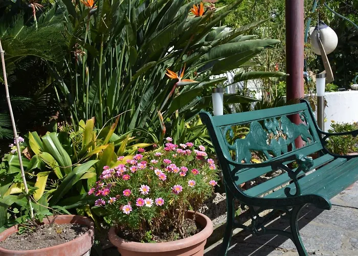 Appartamento Dell'ospite Ischia