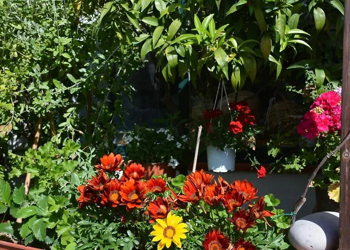 Apartamento Dell'ospite Ischia Casamicciola Terme