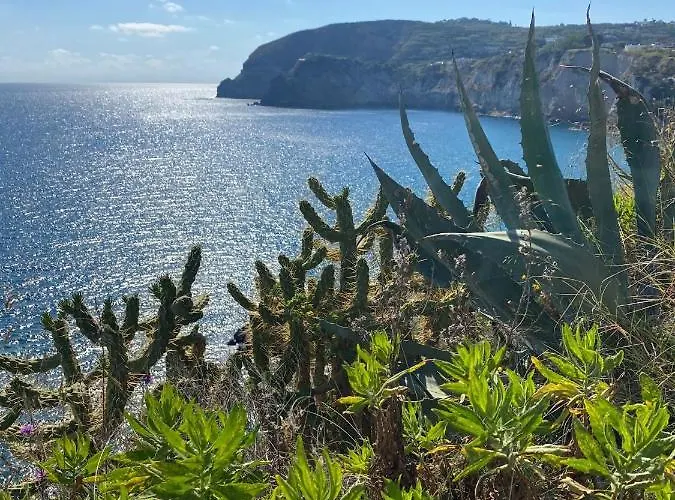 Dell'ospite Ischia Appartamento