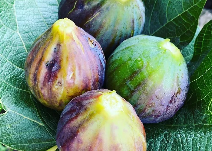 Dell'ospite Ischia Apartamento