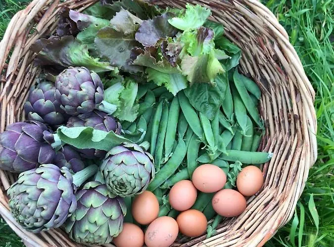 Apartamento Dell'ospite Ischia