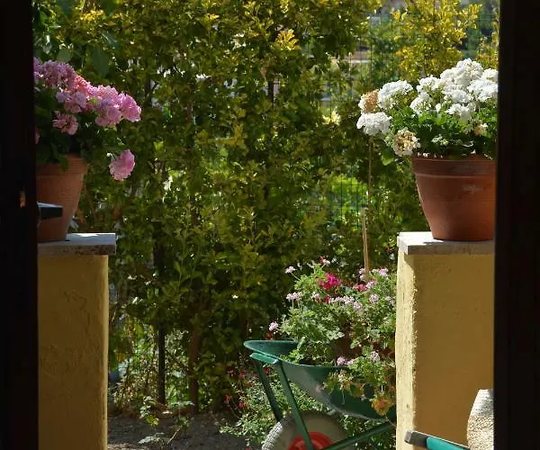 Appartamento Dell'ospite Ischia Casamicciola Terme