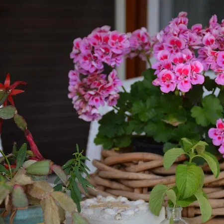 Dell'ospite Ischia *