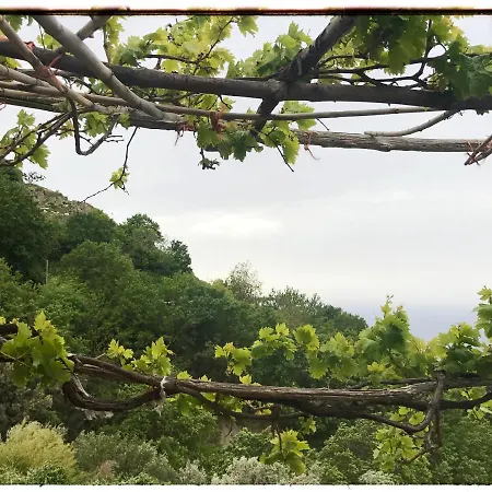 Dell'ospite Ischia Casamicciola Terme