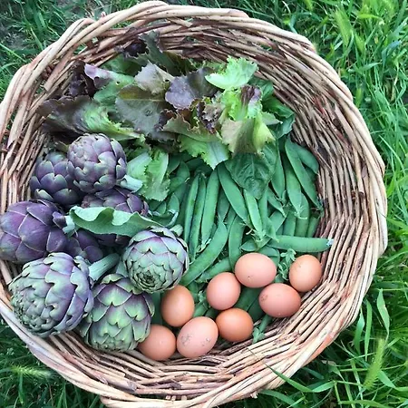 Appartement Dell'ospite Ischia