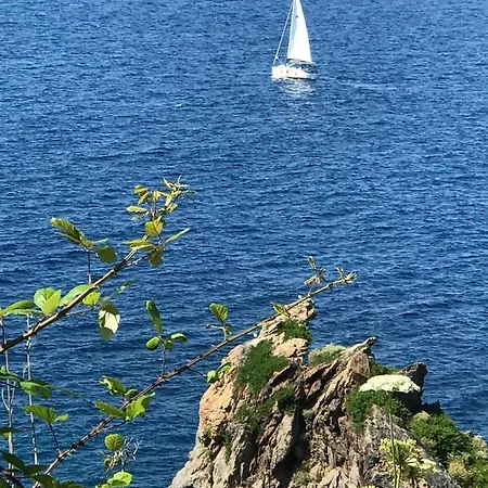 Dell'ospite Ischia